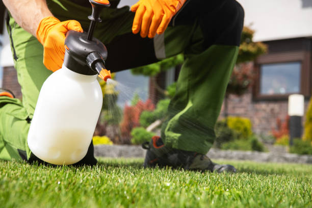 Best Termite Control Services  in Viroqua, WI