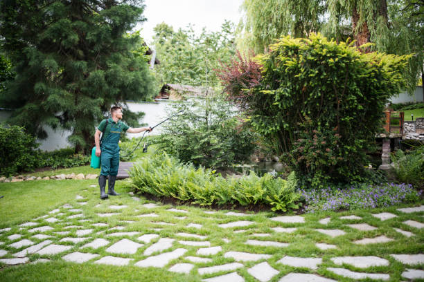 Wasp Removal Services in Viroqua, WI