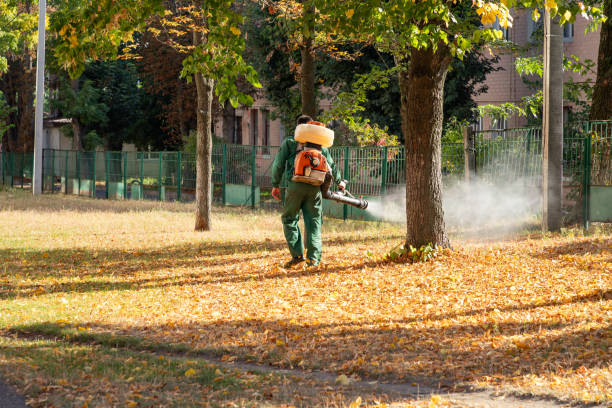 Pest Prevention Services in Viroqua, WI