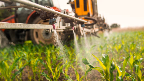 Best Wildlife Control Services  in Viroqua, WI