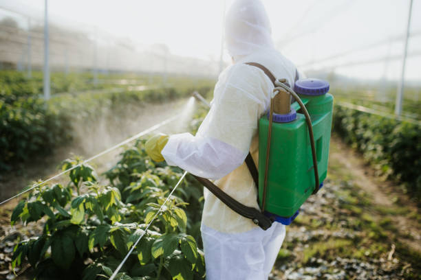 Reliable Viroqua, WI Pest Control Solutions